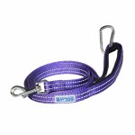 Pensacola Leash Violet 6'