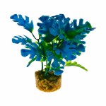 Plant Philo Leaf Blue