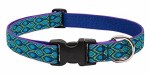 Rain Song Collar 1" 16-28"