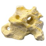 Resin Holey Rock 5.7"