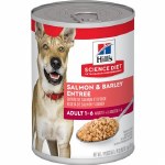 Sci Diet Dog Salmon Entree