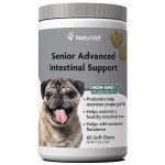 Naturvet Sr Intestinal Support