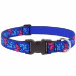 Social Butterfly 10-16" Collar