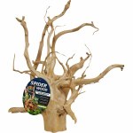 Spider Wood Showpiece 24"-30"