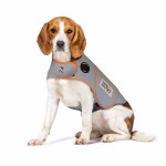 Thundershirt Sport Lg Platinum