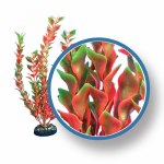 Weco Plant Red Lugwigia 12"