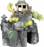 Asian Cottage With Bonsai