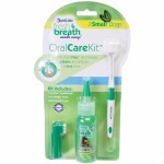 FRESH BREATH ORAL CARE KIT LG