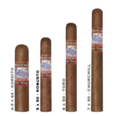 Perdomo Lot 23 Robusto SG S