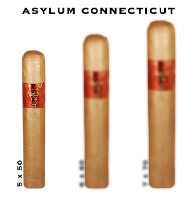 Asylum 13 Connecticut Fifty S