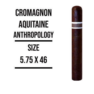 Cromagnon AQ Anthropology S