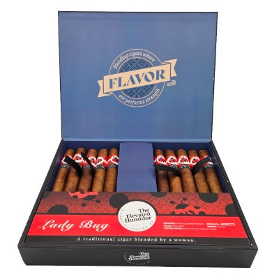 Elevated Hum Ladybug