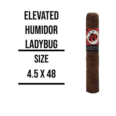 Elevated Hum Ladybug S
