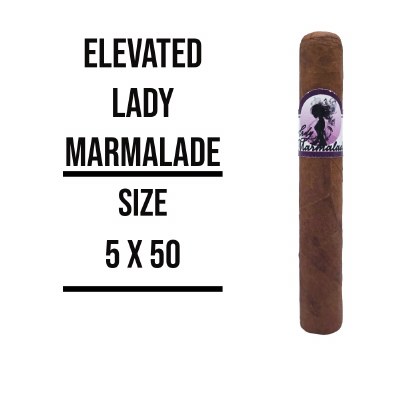 Elevated Hum Lady Marmalade S