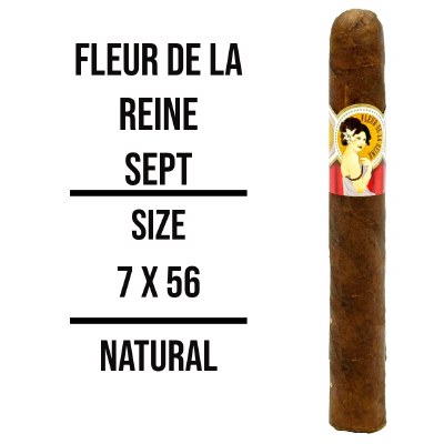 Fleur de la Reine Sept S