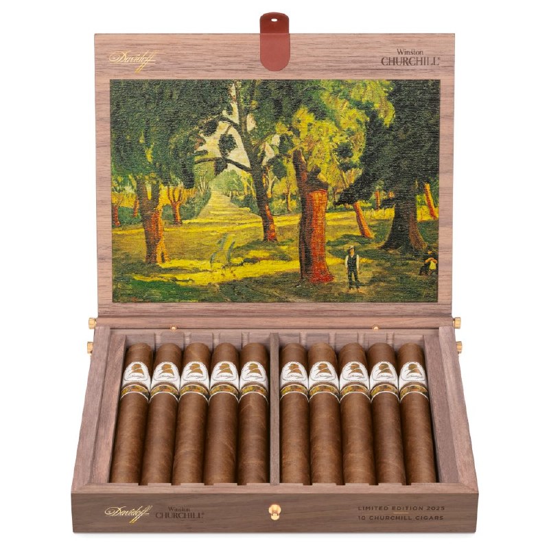 Winston Churchill LE 2025 - Buy Premium Cigars Online From 2 Guys Cigars