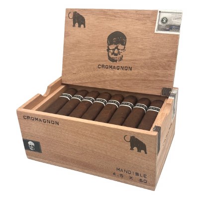 Cromagnon PA Mandible Mastadon
