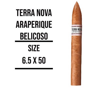 Terra Nova Ara Belicoso S