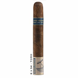 West Tampa Attic Toro S