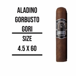 Gorbusto by Aladino Gori S