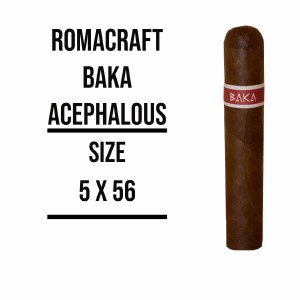 Baka Acephalous S
