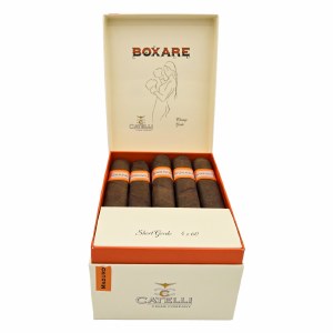 Catelli Boxare Mad Sht Gordo