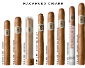 Macanudo Hampton Court S