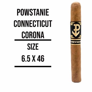 Powstanie Connecticut Corona S