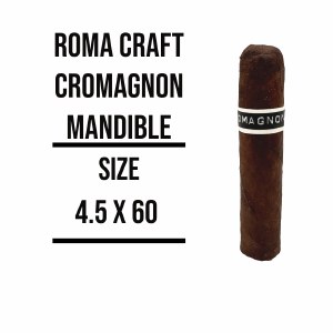 Cromagnon PA Mandible S