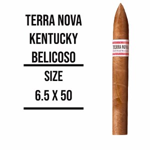 Terra Nova DFK Belicoso S