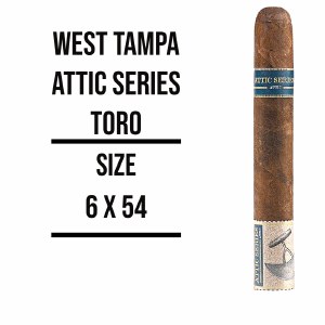 West Tampa Attic Toro S