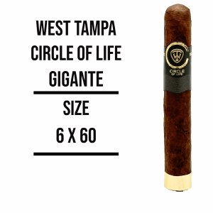 West Tampa Circle of Life GigS