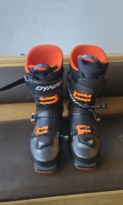 Demo Hoji Free 21/22