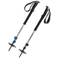 Expedition 3 Ski Poles