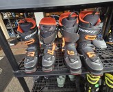 Demo Hoji Free 21/22