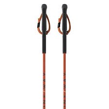 TR Vario Poles