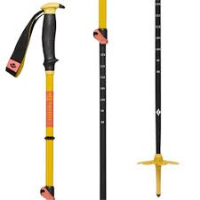 Traverse 3 Ski Poles