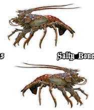 STICKER LOBSTER SALTY BONES