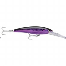 RAPALA SXR08 BSRD - Cudjoe Sales Fishermen's Warehouse