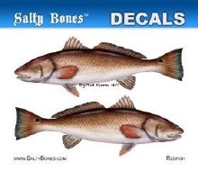 STICKER REDFISH MINI SALTY BON