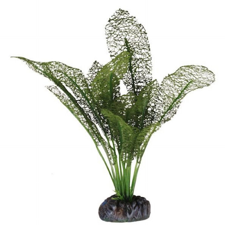 BETTA SILK LACE PLANT GREEN