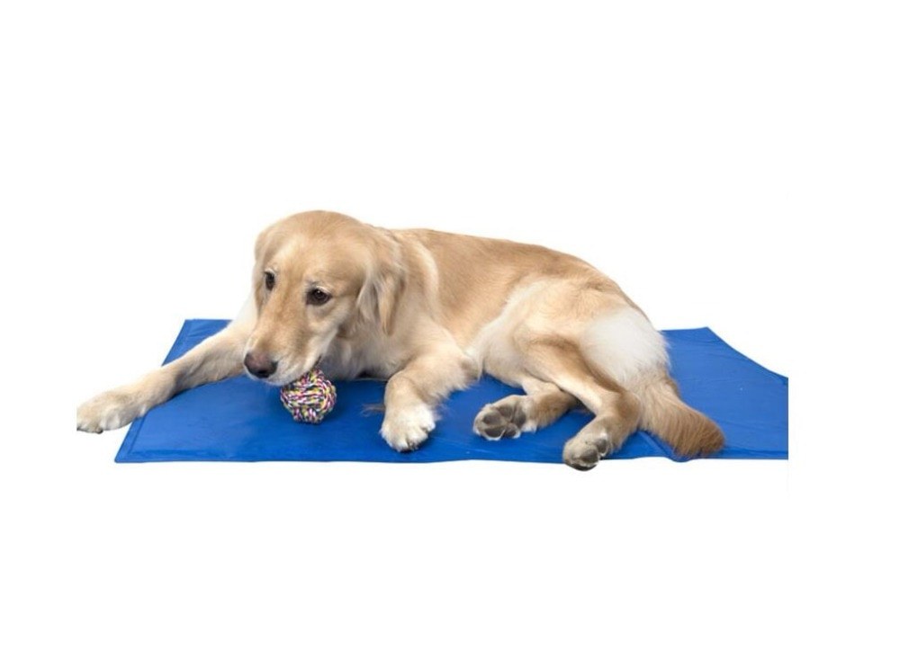 Pet valu 2024 cooling mat