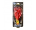 BETTA AQUARIUM PLANT DIANDRUM