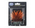 BETTA FERN PLANT ORANGE 8cm