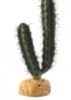 CACTUS EXO TERRA BARREL