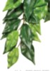 EXO TERRA FICUS SILK PLANT-LRG