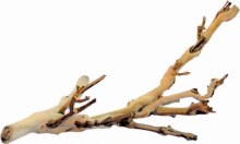 EXO TERRA FORSET BRANCH 60cm