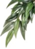 EXO TERRA RUSCUSSILK PLANT-MED