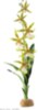 EXO TERRA SPIDER ORCHID