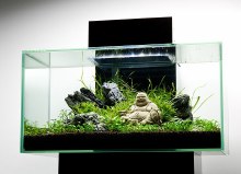 FLUVAL EDGE 23L BLACK